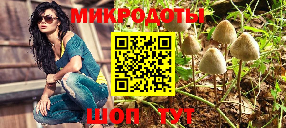 Псилоцибиновые грибы GOLDEN TEACHER  Вход с VPN  Галлюциногенные грибы мицелий  Костомукша 